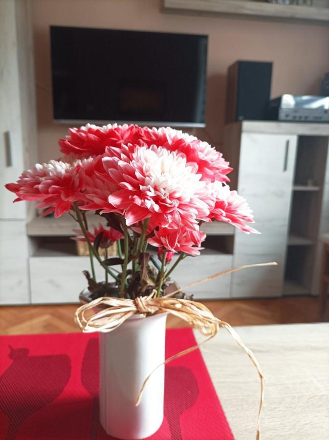 Appartamento IVA centar Valjevo Esterno foto